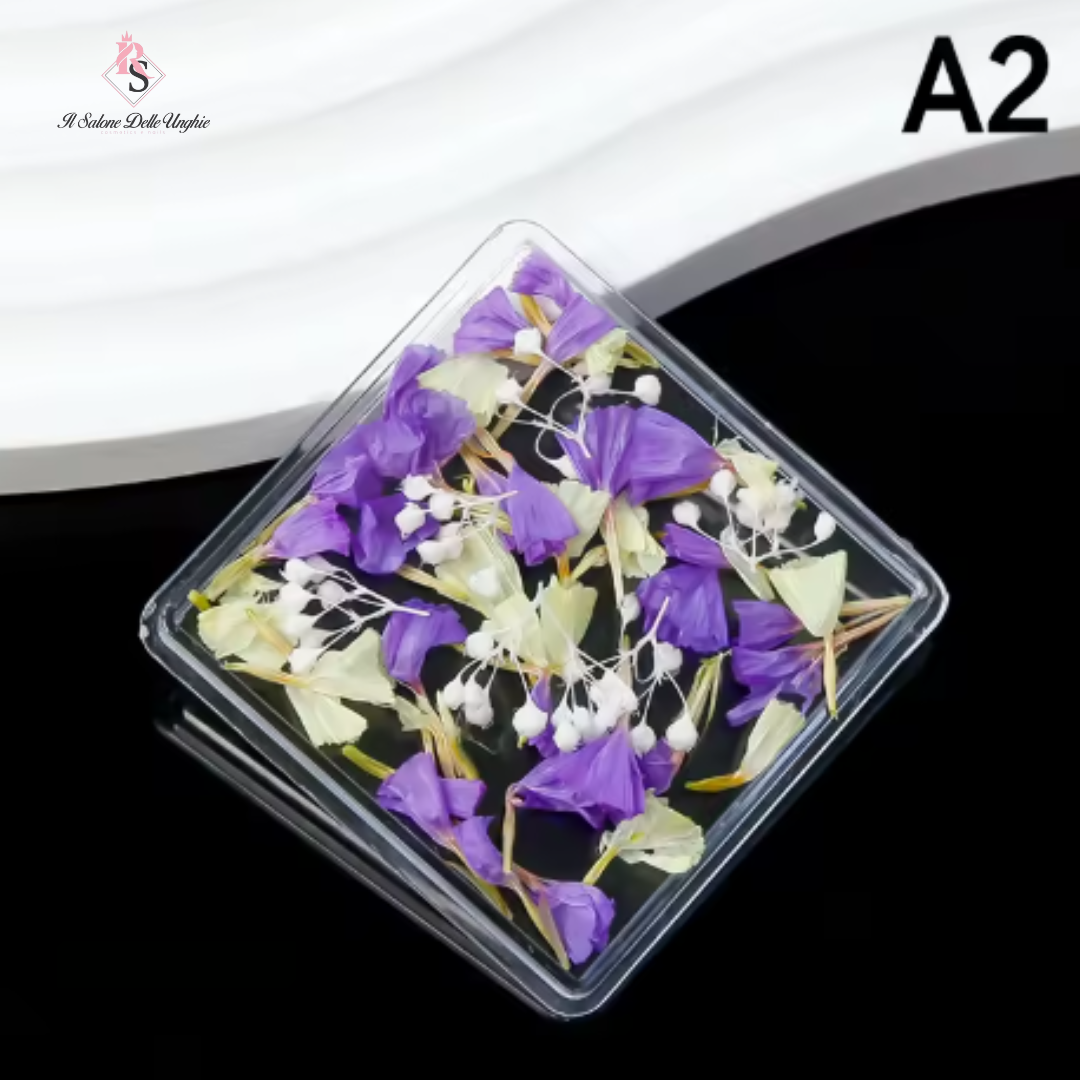 FIORI SECCHI A2