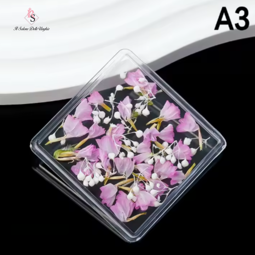 FIORI SECCHI A3