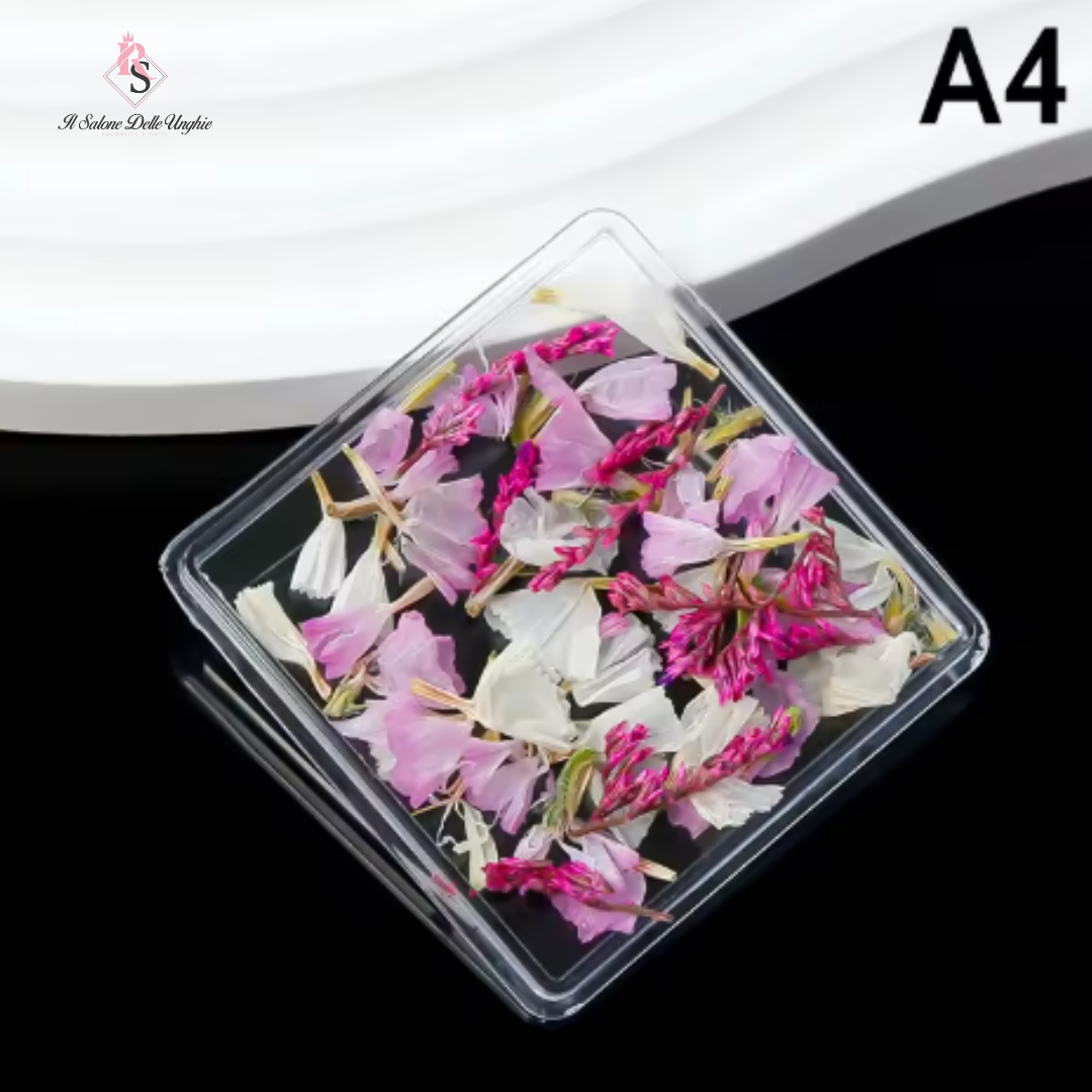 FIORI SECCHI A4