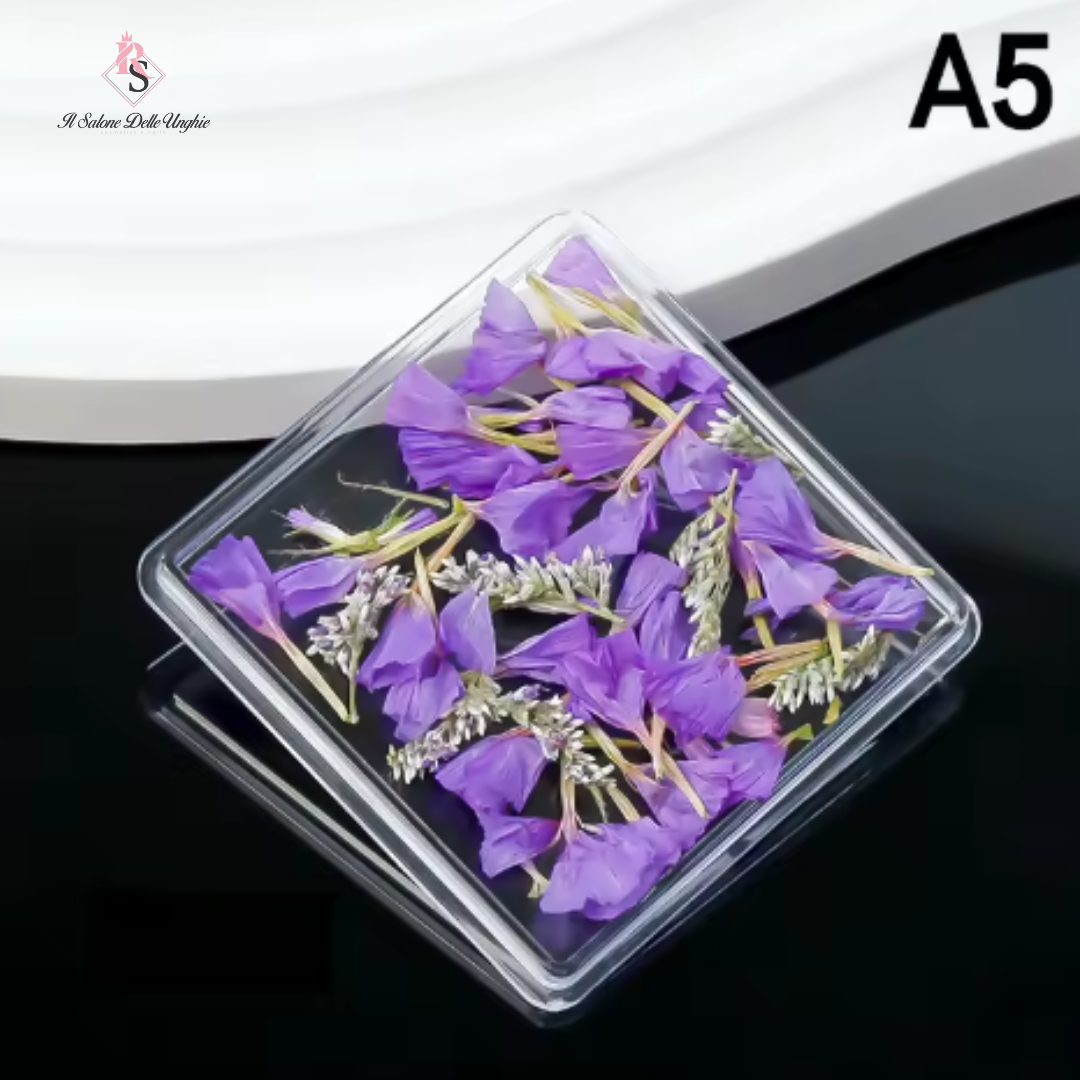 FIORI SECCHI A5