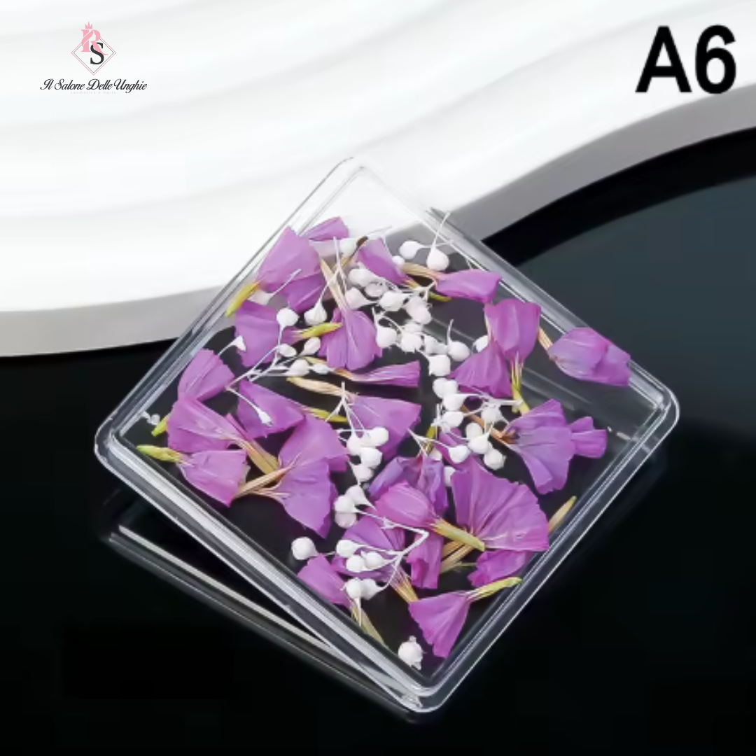 FIORI SECCHI A6