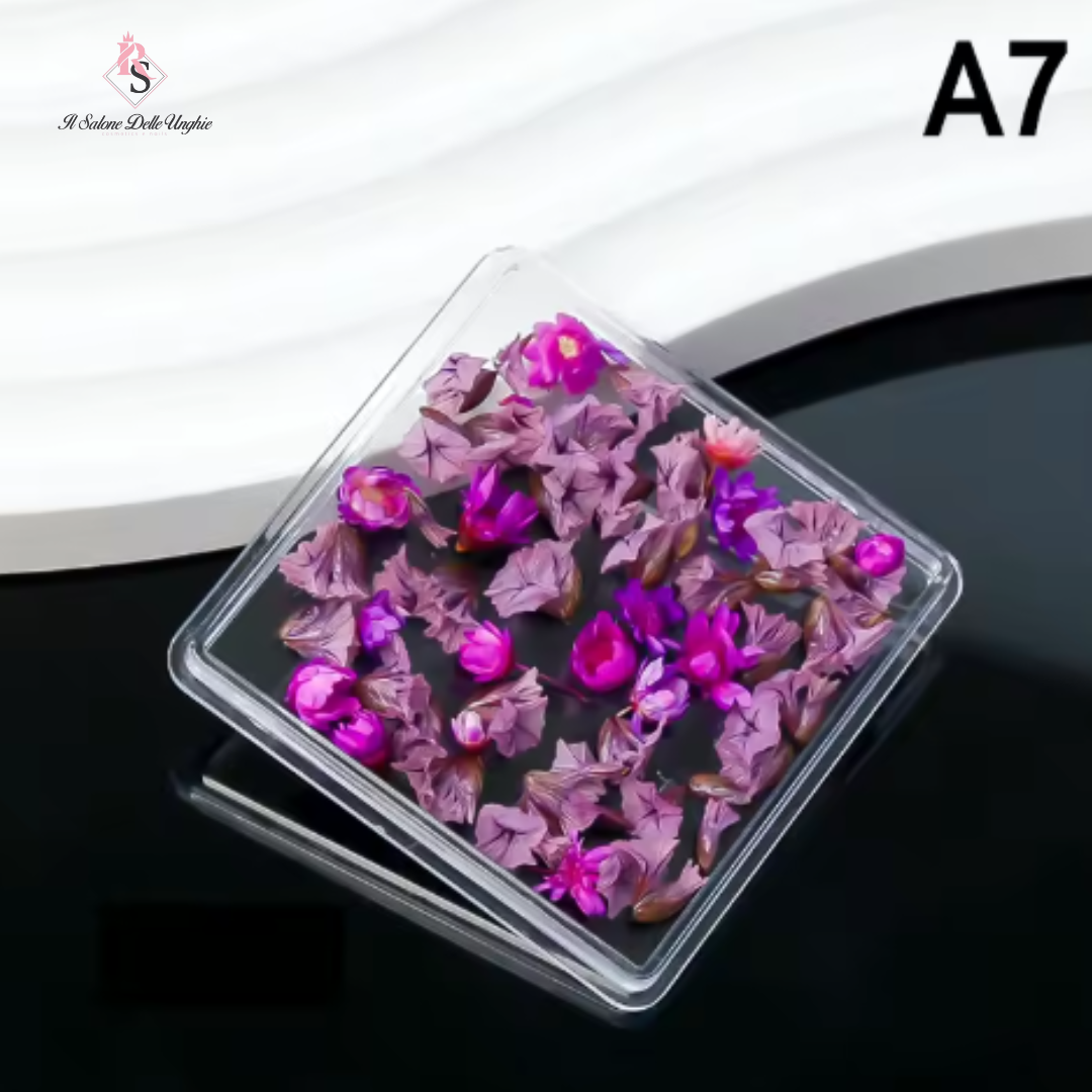 FIORI SECCHI A7