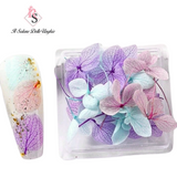 Fiori Secchi 01